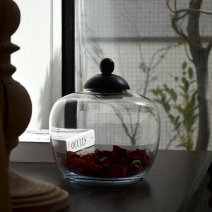  CeAA[gEKXW[#02 KXx[Xt[x[X KX  fBXvC ԕr ֑} k G u KXr r 傫  R i` I[Kj