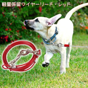 C[[h  W[h 3m 5m ܂Ȃ hK ^ O[h ^ C[[v ^ i[P[u p W [h C[ Eh~ Lv g[jO AEg