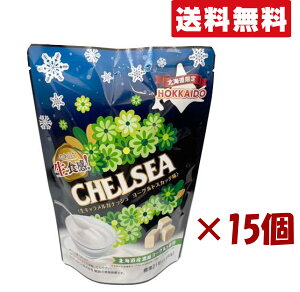 kC /15Zbg/ ܂Ƃߔ/`FV[ L KibV [OgXJb` W21i90gj×15 i1P[XjCHELSEA LfB  j yY@[1P[X]