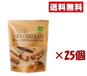 kC zyƂу`R L10{z 25Zbg kCyY yY  v`Mtg ΂܂p Ε  Mtg ̓ ̓ v[g 