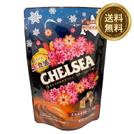 チェルシー 生キャラメルガナッシュ バタースカッチ味 標準21粒入り（90g）× 1袋 ／ 北海道限定 生食感 …