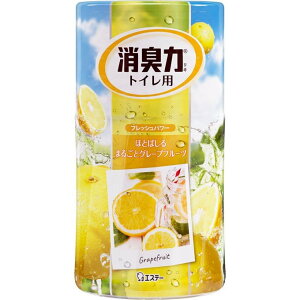 GXe[ L gCp O[vt[c 400ML