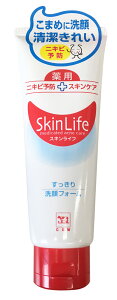 Ό@p@SkinLife@XLCt@tH[@110g