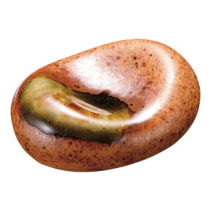 Myی^u@T03-325@RHS-U4[֘AFƖp tbgEFA { Z u  aH {H]