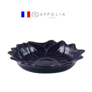 A|[A@I[ov[g@32cm@I[xW@RAP-44m֘AFAPPOLIA tX uh Ɩp I[uEFA M ubtF ϔM  I[u dqWΉn