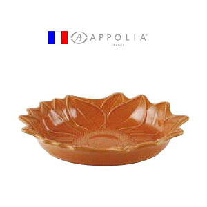 A|[A@I[ov[g@32cm@pvL@RAP-44m֘AFAPPOLIA tX uh Ɩp I[uEFA M ubtF ϔM  I[u dqWΉn