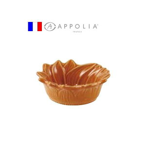 A|[A@A~[YubV@11cm@pvL@RAP-42m֘AFAPPOLIA tX uh Ɩp I[uEFA H  ϔM  I[u dqWΉn