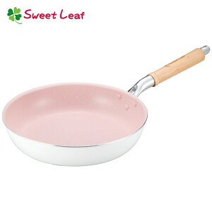 XC[g [t@y`@tCp@26cm@SWL-PM26FNm֘AFapide Asf ƒp tCp dΉ IH100VE200VΉ  킢  yʁn