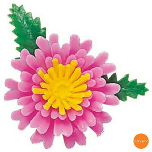 veBt[@~je@sN@c[g@400@XPL-18[֘AFn Ɩp opi   o hg  ٓ]