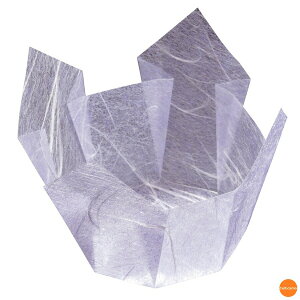 ʁ@OP@@200@66393@_@QTV-38[֘A:}R[ Ɩp Օi  opi tBP[X Jbv   t[hP[X ze  ȗ 