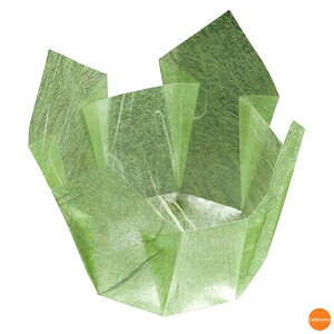 ʁ@OP@@200@66396@ᑐ_@QTV-38[֘A:}R[ Ɩp Օi  opi tBP[X Jbv   t[hP[X ze  ȗ 