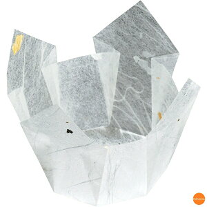 ʁ@OP@@100@66399@_@QTV-39[֘A:}R[ Ɩp Օi  opi tBP[X Jbv   t[hP[X ze  ȗ 