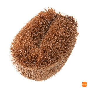 ߃^V@@20@JTW-08m֘AFR@ Ɩp |pi ~[p qǗ p[^V 킵n