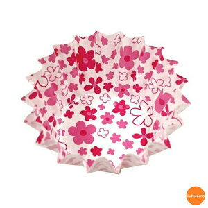 Jbv@RRP[X@ی^@5[@500@ԕ@sN@XAZ-52[֘A:Ad~Y Ɩp Օi  dqWΉ tBP[X Jbv t[hP[X e  `