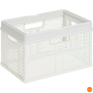 vtBbNX@܂肽݃oXPbg@nht@L@29L@X[L[zCg@ABS-38[֘AFVn PROfix  CeA Ƌ Rei [{bNX P[X JS VbsOoX