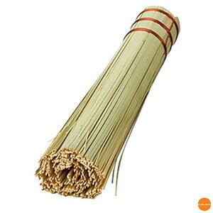 |@21cm@11222@ASS-15[֘AF}R[ p Ɩp ؗpi TT ؓ RQƂ ^V  ͂킽]