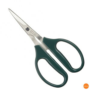 Xe@Ej؂͂݁@@BUN-09[֘AFk Ɩp {   _O  nT~]