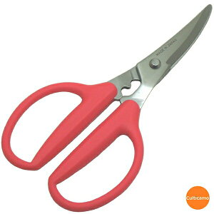 Jj`L@JjoT~@nCJ[{XeX@BKN-10[֘AF쏊 Ɩp {  I  ͂ ɃnT~]