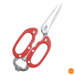 oT~@RbN@XeX@ԁ@BKY-16[֘AFCebNJlL Ɩp  ΂ \oT~ XeX ͂]