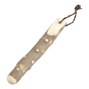 񂵂傤@肱_@24cm@BSL-25[֘AFۏ\ Ɩp  Ӗ  S} 蔫 肱 _]