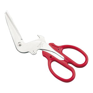 GRׂ@TCN@nT~@XeX@BHS-15[֘AFCebNJlL {  Lb`oT~ TCNc[  @\͂  ͂]