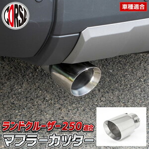 hN[U[ 250 K }t[Jb^[ 1{o N 250 XeX Vo[ ~` ی` h~ C[t t Ap[c TOYOTA LAND CRUISER bL JX^ O p[c ANZ