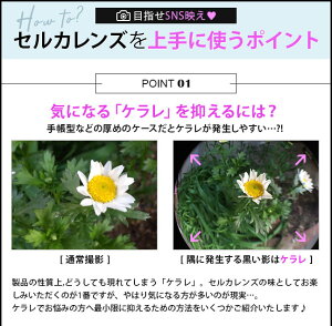 上手に使うために
