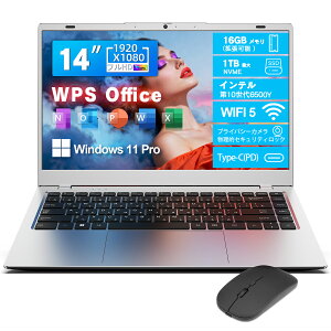 y2025ŐVm[gp\R N5095AMD 3020e葬zVETESA WPS Office  10 6500Y 14C` 16GB +1TB Nvme SSD Win11Pro 1920×1080 IPSt WEBJ ^m[gPC Wi-Fi5/ BT5.0/HDMI/TYPE-C([dpj/Micro SD b