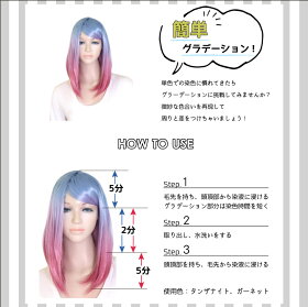 楽天市場 ウィッグ用染料 コロランテ 全色 Colo 3 Colo ウィッグ コスプレ Swallowtail