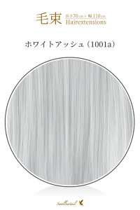 ё 70x100cmyzCgAbVzϔM ёECbO(050 ex-1001a)