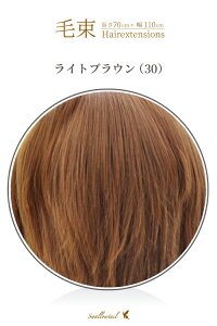 コスプレ 仮装 変装衣装 ウィッグ 茶髪の人気商品 通販 価格比較 価格 Com