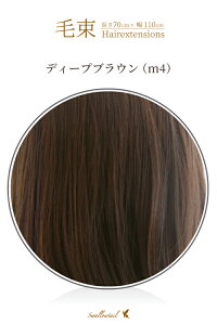 �ё� 70x100cm�y�f�B�[�v�u���E���z�ϔM �ё� �E�B�b�O �G�N�X�e �t�їp�ё� �A�����W�p ���H�p�E�B�b�O(ex-m4)