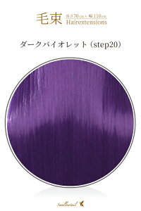 ё 70x100cmy_[NoCIbgzϔM GNXe  oCIbg (ex-step20)