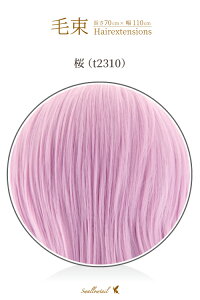 ё 70x100cmyzϔM GNXe(ex-t2310)