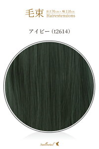 ё 70x100cmyACr[zϔM ёECbO(036 ex-t2614)