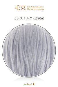 ё 70x100cmyJVX~NzϔM GNXe(106 ex-t3806)