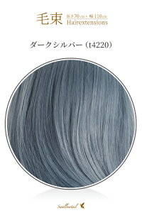 ё 70x100cmy_[NVo[zϔM nEB ăR~   YN  i Cxg p[eB[ObY(091 ex-t4220)