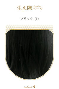 ۃp[c yubNz A [Xn EBbO GNXe ё  E qQ ݂  A R (fl-1)