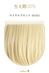 ۃp[c yCuhz A [Xn EBbO GNXe ё  E qQ ݂  A R (fl-613c)