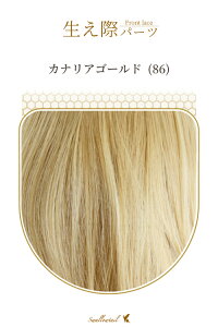 ۃp[c yJiAS[hz A [Xn EBbO GNXe ё  E qQ ݂  A R (fl-86)