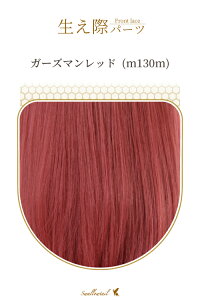 ۃp[c yK[Y}bhz A [Xn EBbO GNXe ё  E qQ ݂  A R (fl-m130m)