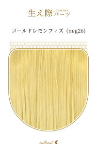 ۃp[c yS[htBYz A [Xn EBbO GNXe ё  E qQ ݂  A R (fl-neg26)