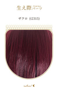 ۃp[c yUNz A [Xn EBbO GNXe ё  E qQ ݂  A R (fl-t2315)