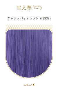 ۃp[c yAbVoCIbgz A [Xn EBbO GNXe ё  E qQ ݂  A R (fl-t3838)