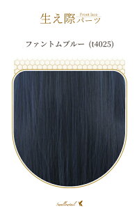 ۃp[c yt@gu[z A [Xn EBbO GNXe ё  E qQ ݂  A R (fl-t4025)