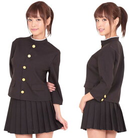 押忍！女番長 コスプレ 可愛い 制服 スクール セーラー ブレザー ジャンパースカート 学生服 女子高生 アニメ アイドル ハロウィン イベント 余興 仮装 大人 コスチューム セクシー 衣装