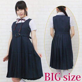 スクールジャンパースカート制服セット BIG コスプレ 可愛い 制服 スクール セーラー ブレザー ジャンパースカート 学生服 女子高生 アニメ アイドル 大きいサイズ 男女兼用 レディース メンズ 女装 男の娘 余興 大人 コスチューム 衣装