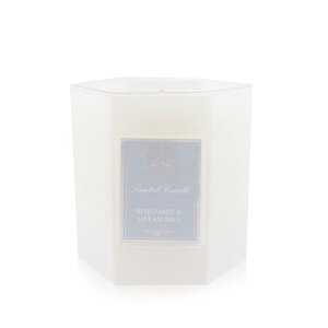 AeBJt@}VX^ Lh - xKbgI[VAA 255g  yyVCOʔ́zAn.ca Farmacista Candle - Bergamot  Ocean Aria 255g  yyVCOʔ́z