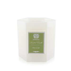 AeBJt@}VX^ Lh - tBO[t 255g  yyVCOʔ́zAn.ca Farmacista Candle - Fig Leaf 255g  yyVCOʔ́z