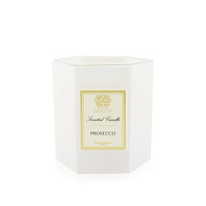 AeBJt@}VX^ Lh - vZbR 255g  yyVCOʔ́zAn.ca Farmacista Candle - Prosecco 255g  yyVCOʔ́z